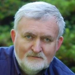Jan Dommerholt